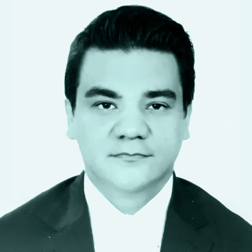 Dr. Davood Bashash